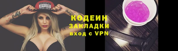 индика Сосновоборск