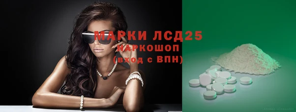 спайс Баксан
