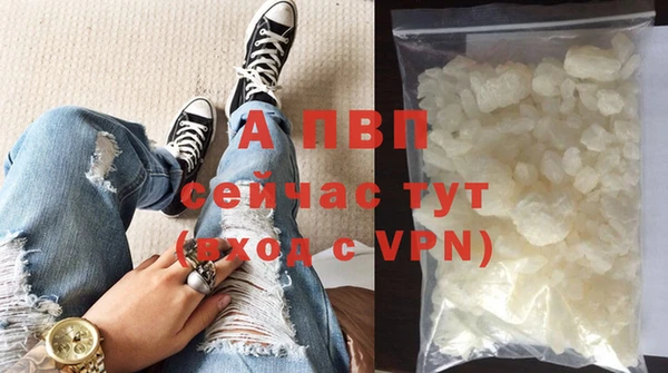 хмурый Сосновый Бор
