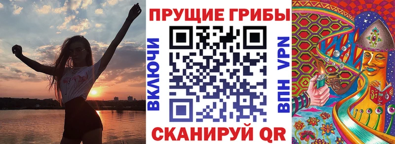 Псилоцибиновые грибы Cubensis  где можно купить   Плавск 